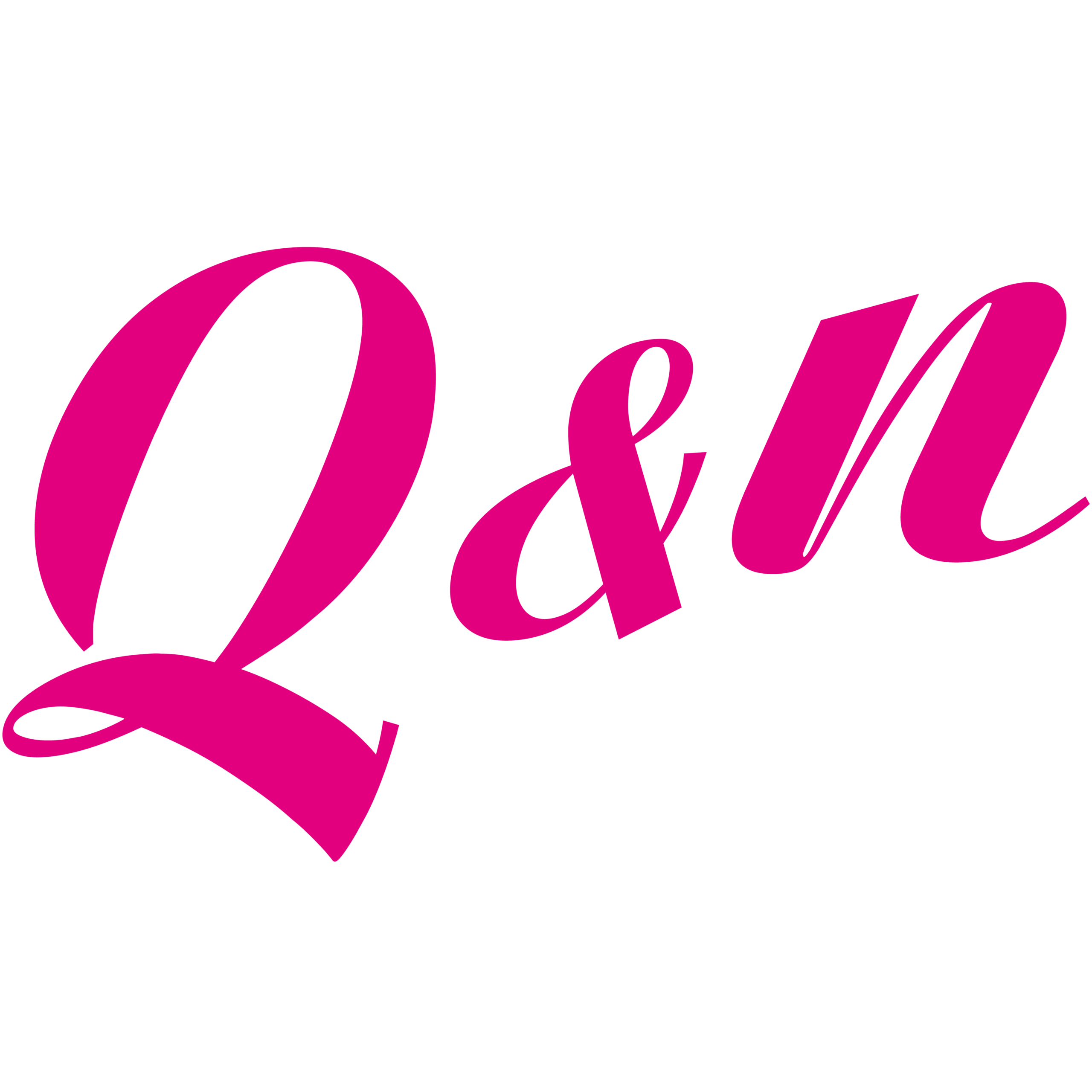 Q&N Logo